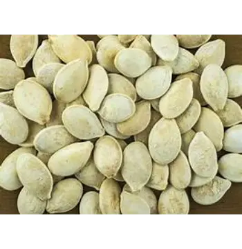 Organic Squash Seed